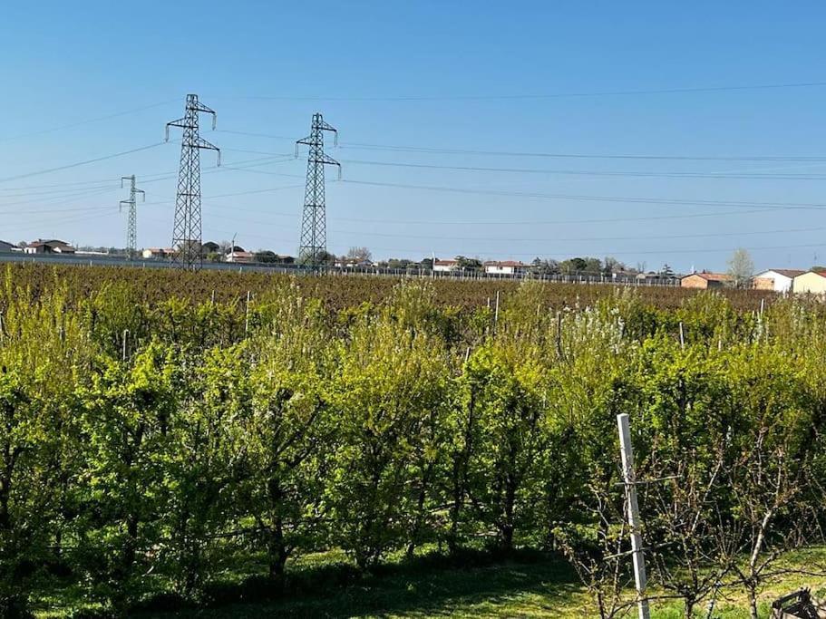 Sotto La Luna Casa In Campagna Кастель-Болоньезе Экстерьер фото