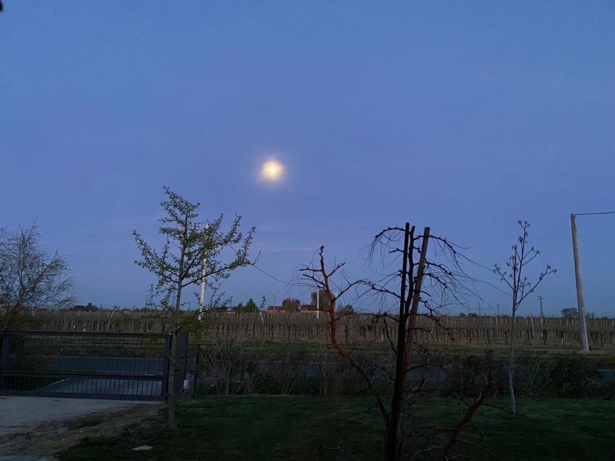 Sotto La Luna Casa In Campagna Кастель-Болоньезе Экстерьер фото